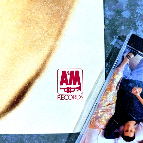 Vintage 1991 Bryan Adams Waking Up The Neighbors Music Store Promo Poster - Picture 3 of 4